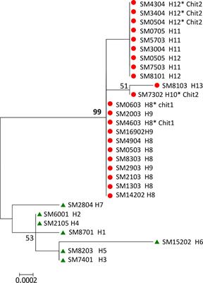 Ookinete-Specific Genes and 18S SSU rRNA Evidenced in Plasmodium vivax Selection and Adaptation by Sympatric Vectors